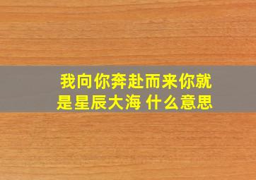 我向你奔赴而来你就是星辰大海 什么意思